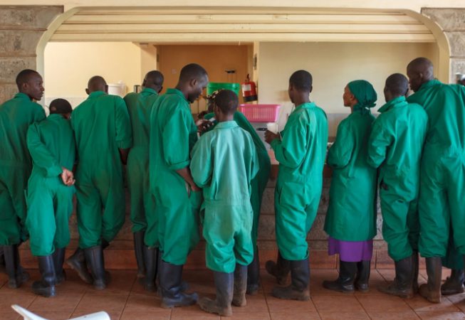 Nafasi Art Space- Lunchtime Gallery