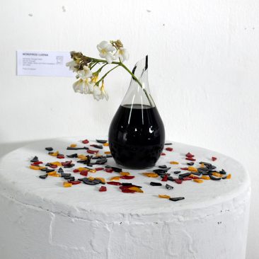 Winifrid Luena We Grow Through What We Go Through Plant Bottle Glass and Paint Installation 28cm x 45cm