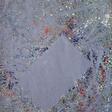 LAZARO SAMWEL Sumu Acrylic on canvas PRICE ON REQUEST