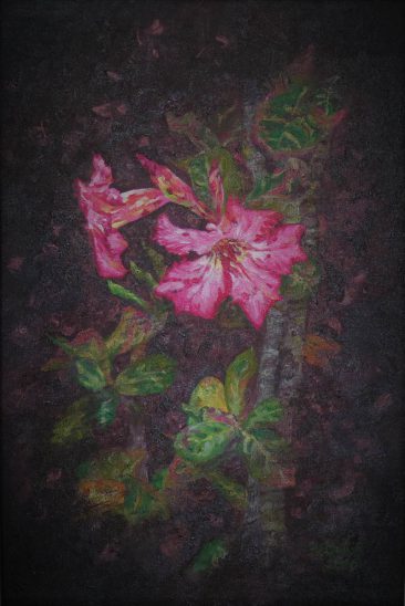 Desert Rose Hedwiga Tairo 60 x 40cm Acrylic on Canvas